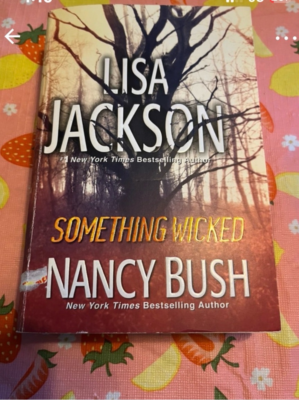 Lisa Jackson & Nancy Bush "Something Wicked" - Red Hardcover Thriller